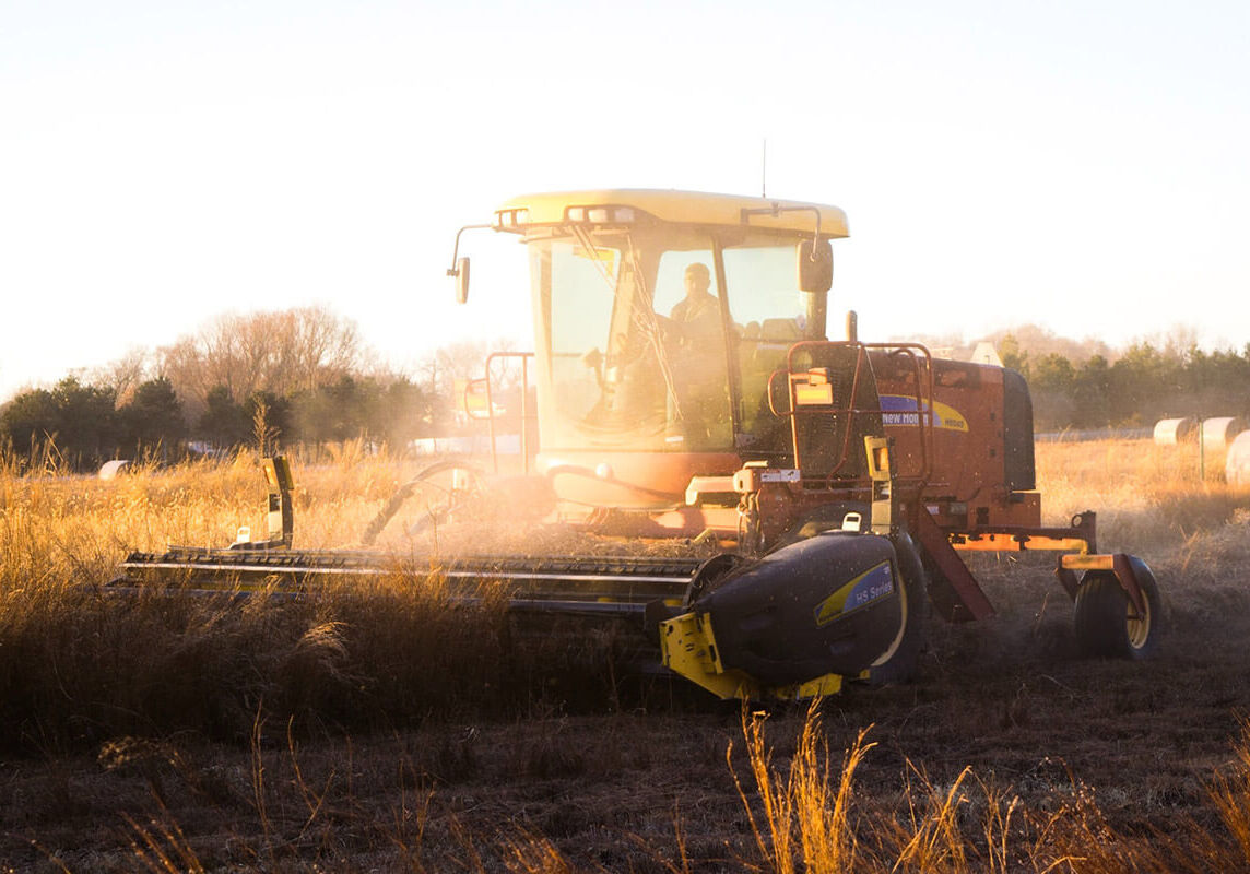 farming